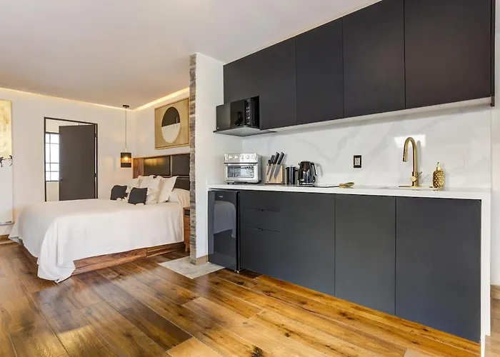Luxury Loft In Polanco Cdmx Apartment *